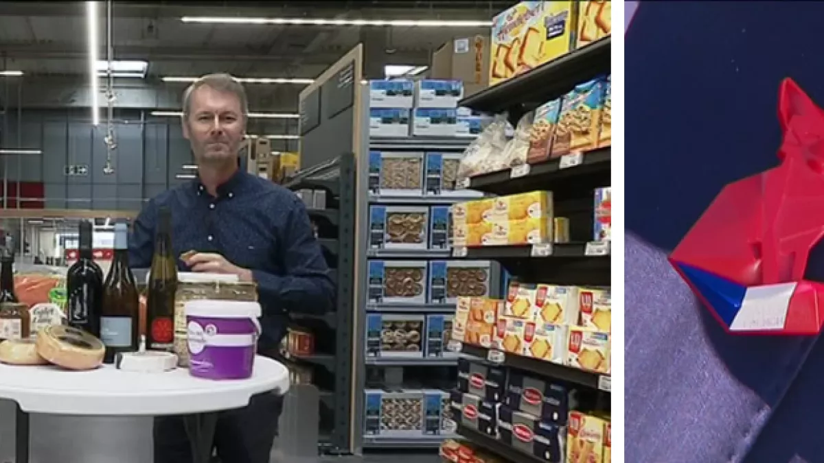 Enquêtes de région Enquêtes de région