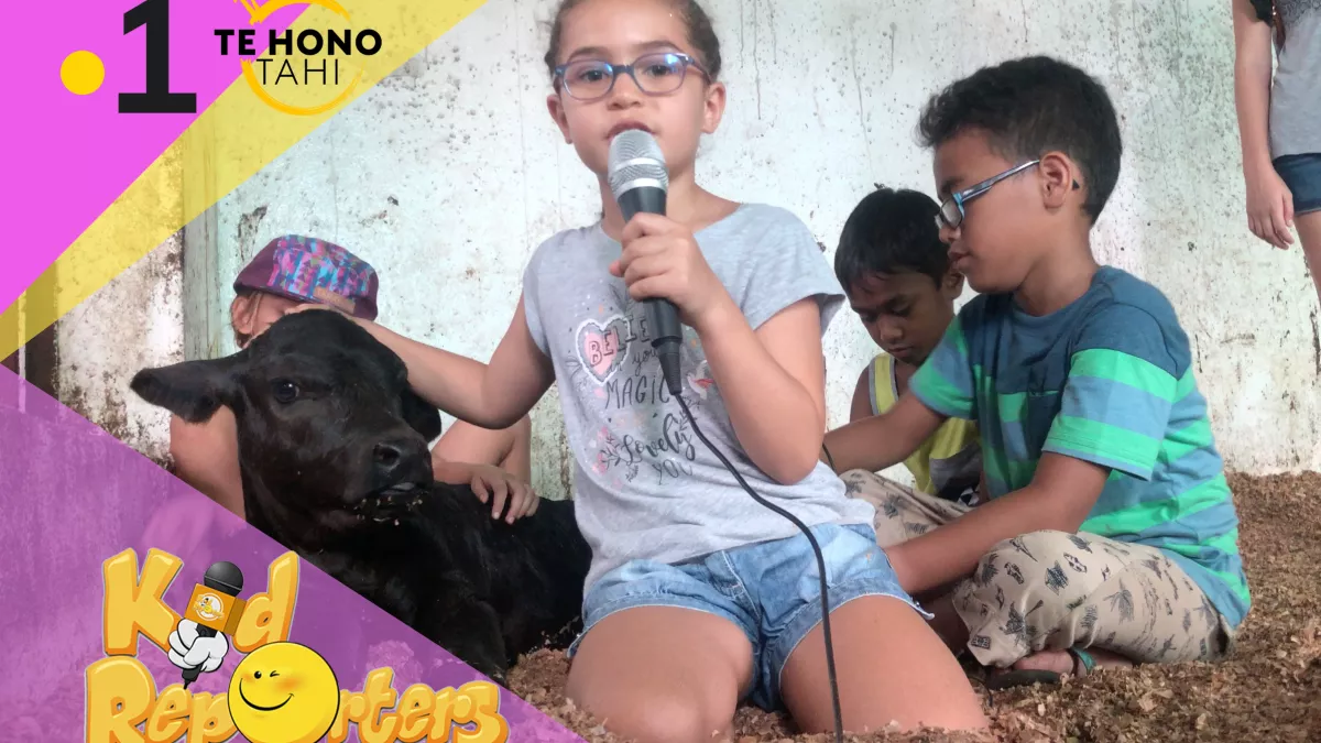 @servicecommunicationpolynesiela1ere Kid Reporters #5