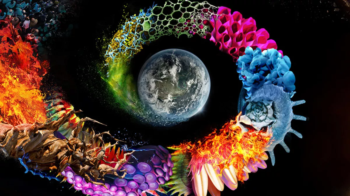 Une planète sans pareil © Nutopia LTD / Protozoa Pictures / National Geographic