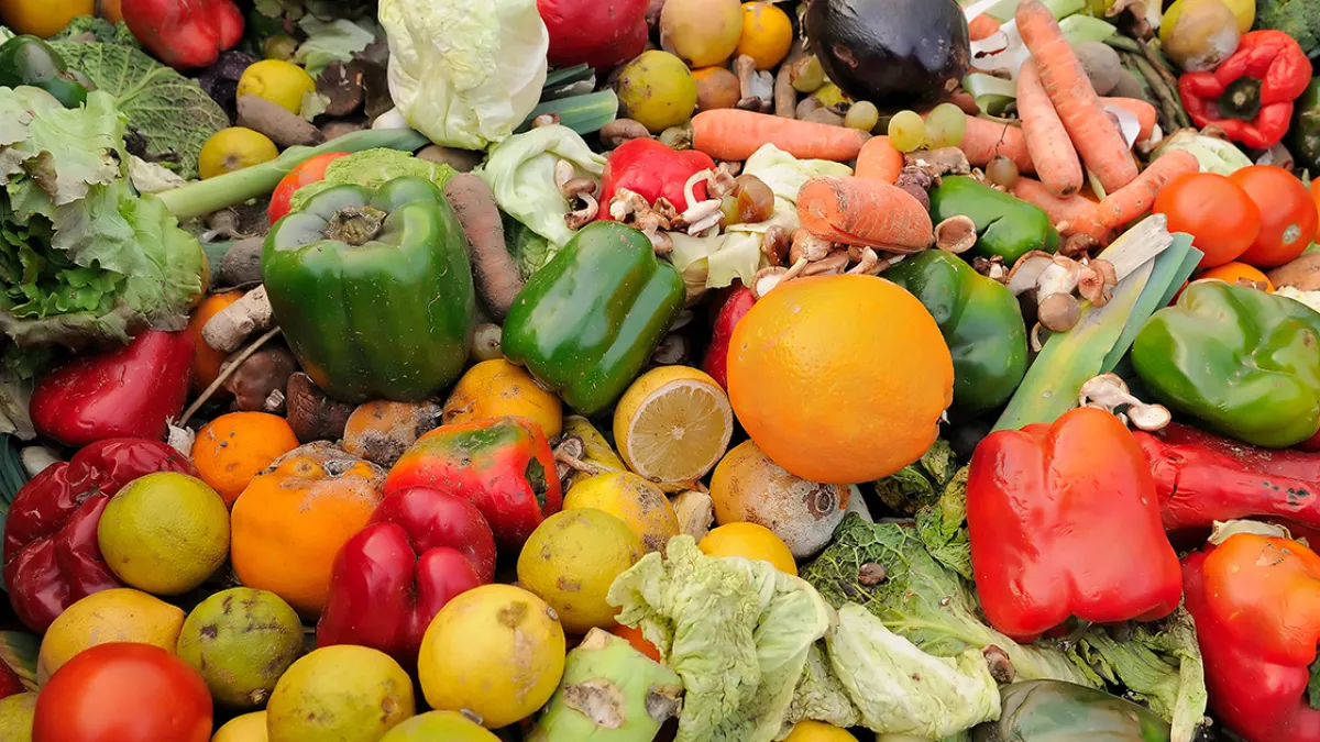 légumes légumes