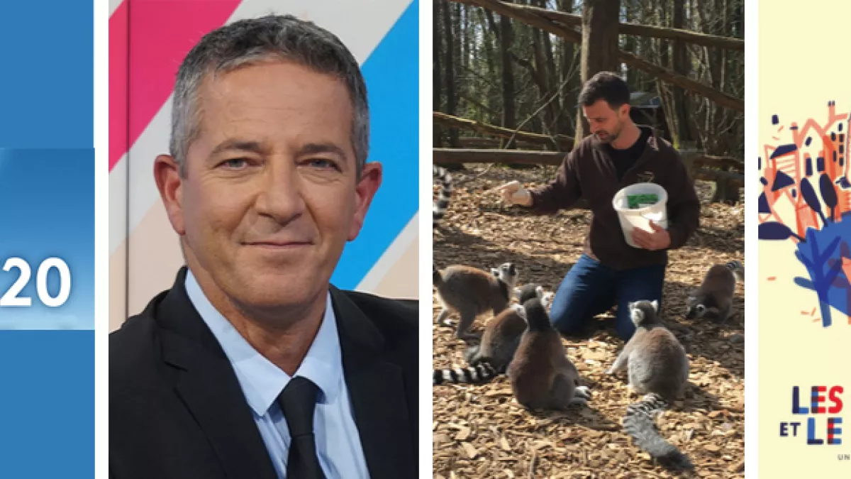 Succès d'audiences semaine 40 - 2019