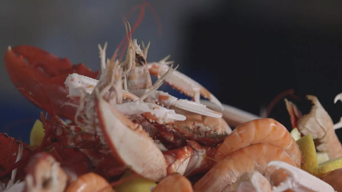 © Grand Angle Coquillages et crustacés, la mer sur un plateau