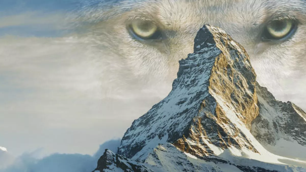© Boreales LE PLUS BEAU PAYS DU MONDE