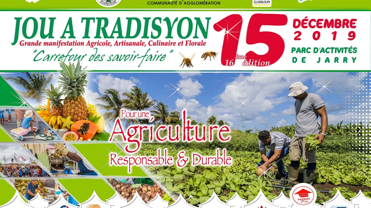 16 èm ÉDITION DE JOU A TRADISYON Affiche de l'événement
