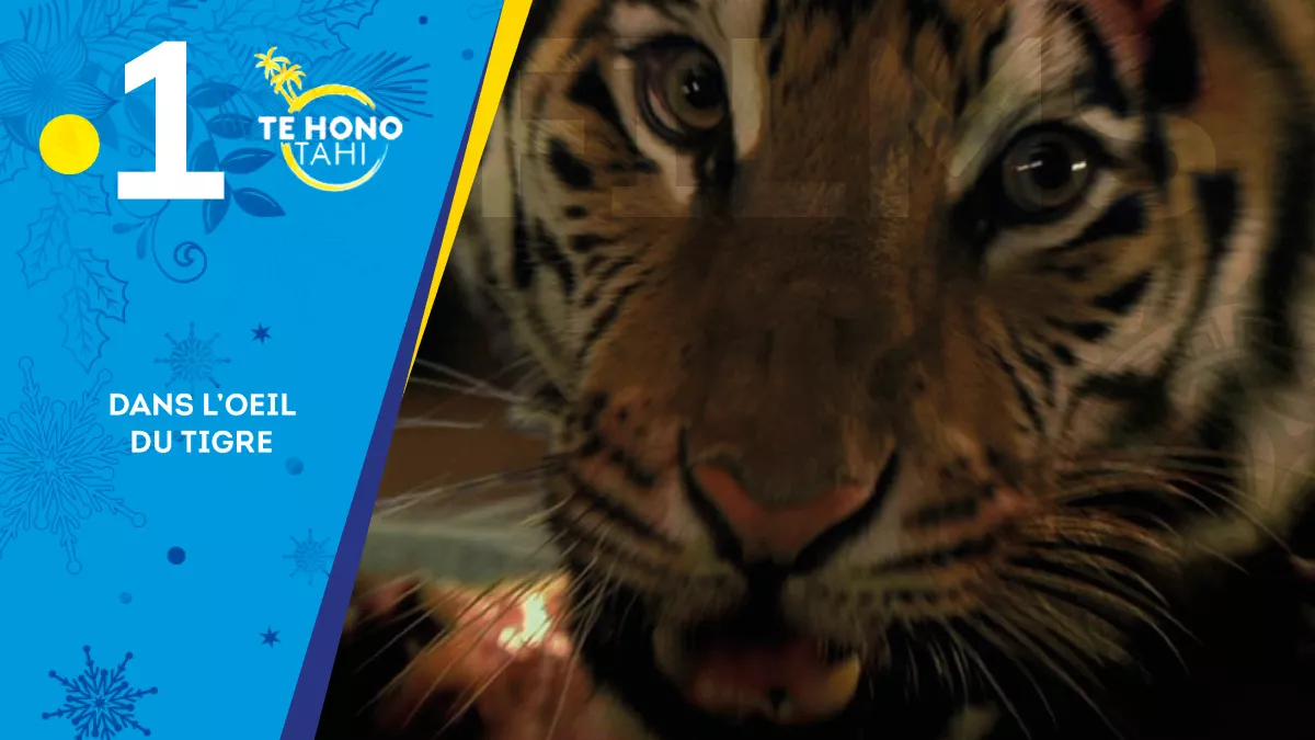 Film dans l'oeil du tigre Film dans l'oeil du tigre