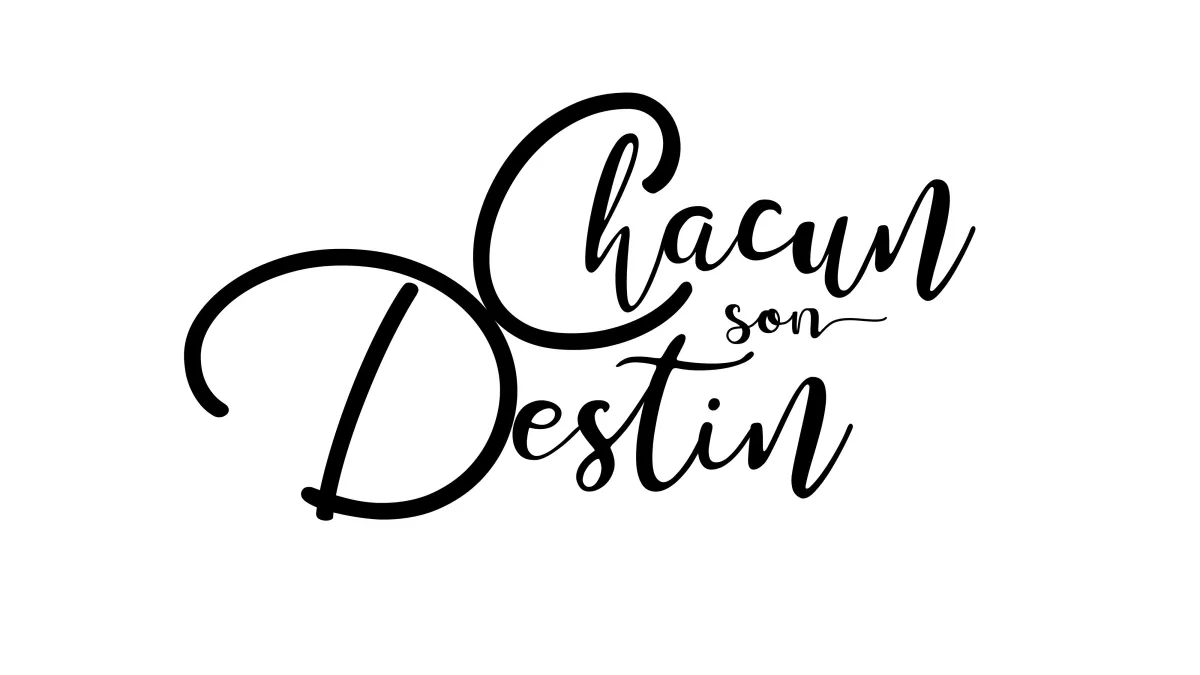 chacun son destin visuel