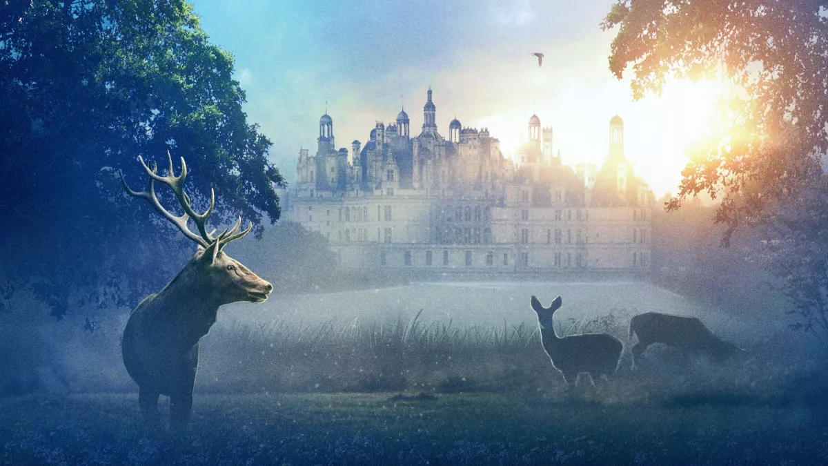 Chambord Chambord