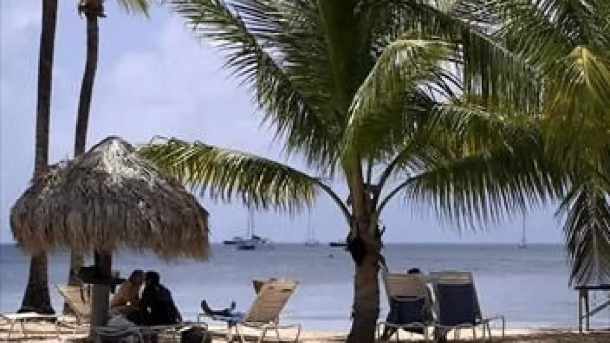 Investigations : Antilles, la nouvelle destination Investigations : Antilles, la nouvelle destination