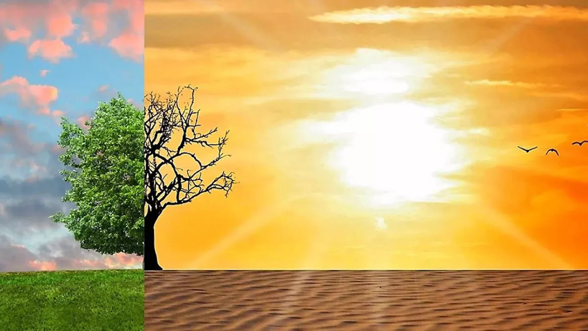© Pixabay Climat : quelle mobilisation ?
