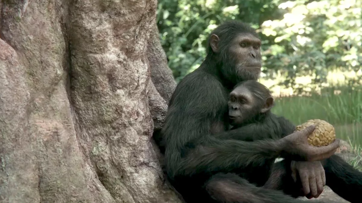 © FTV / NHK / Autentic / CuriosityStream / PTS / S4C NOS ANCÊTRES LES HOMINIDÉS