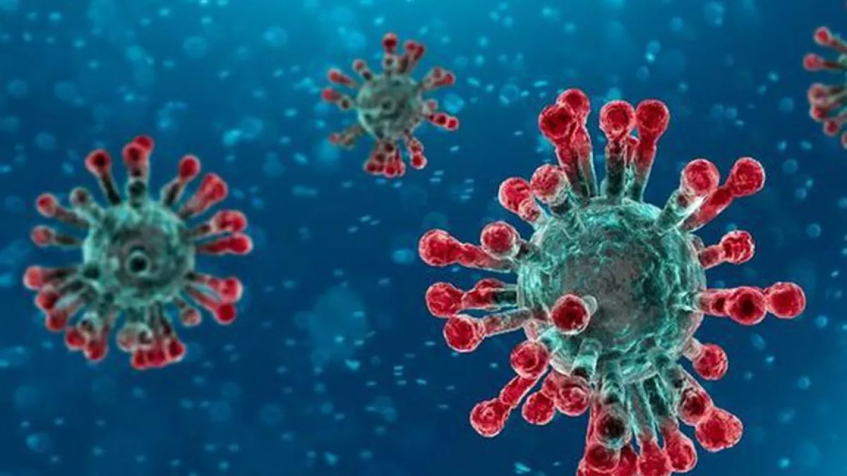 Coronavirus Covid-19 Coronavirus Covid-19