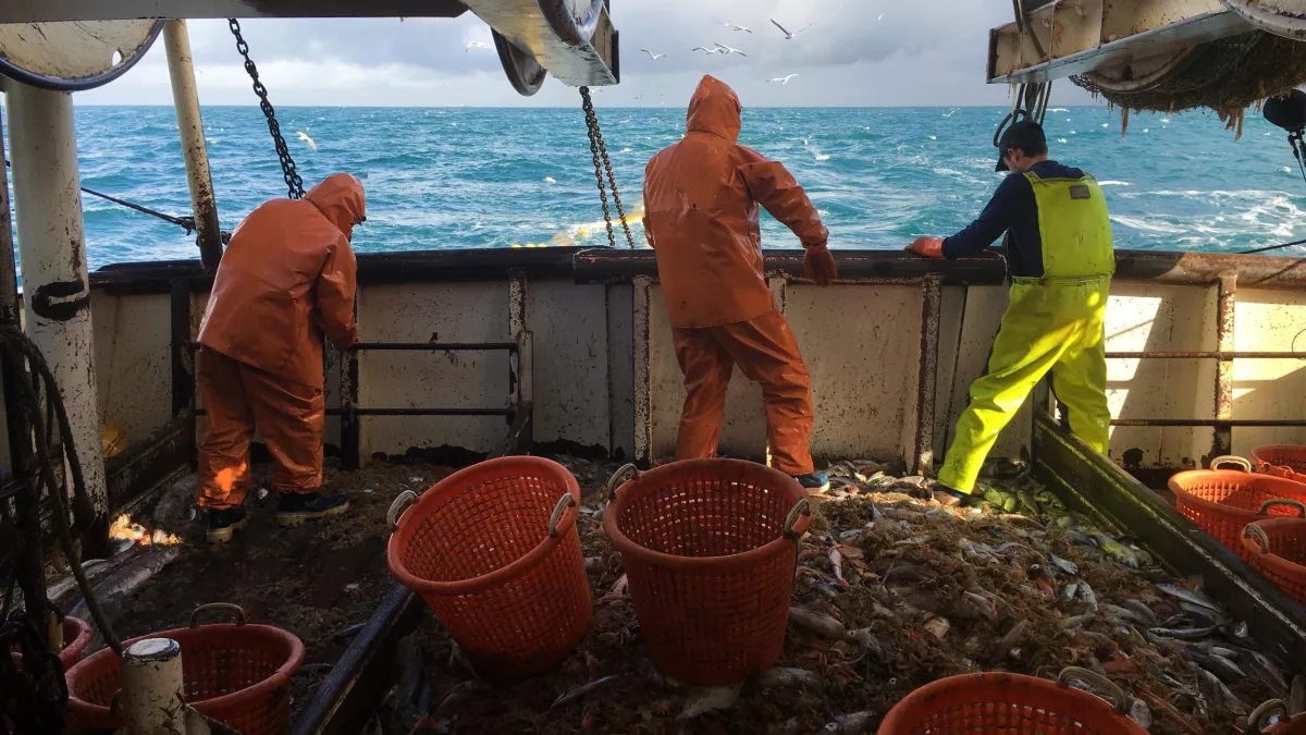 © Thalassa / FTV DE CHERBOURG AUX ÎLES ANGLO-NORMANDES