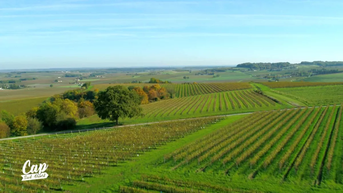 Cognac