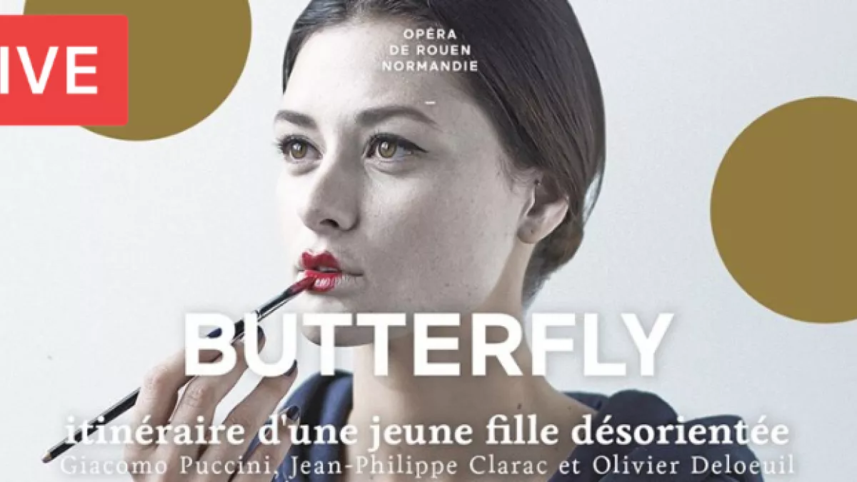 Butterfly Butterfly