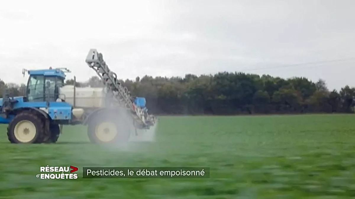 (c) France TV (c) France TV