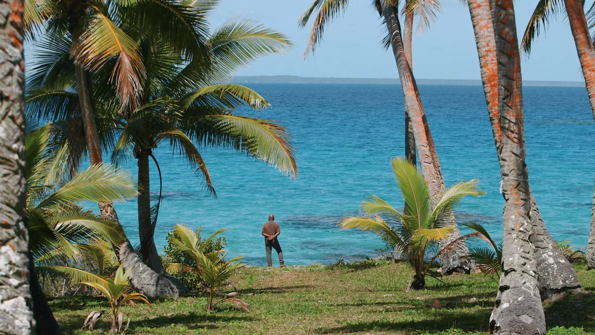 © archipel production Bassié à Lifou
