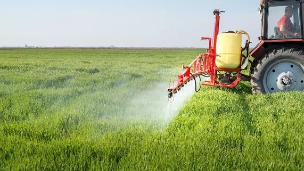 PESTICIDES PESTICIDES