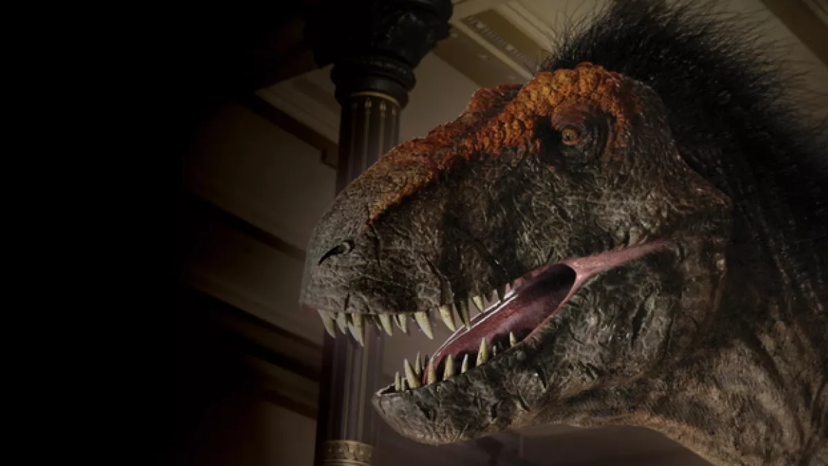 t-rex t-rex