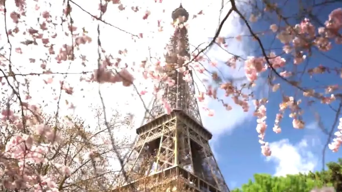Tour Eiffel Tour Eiffel