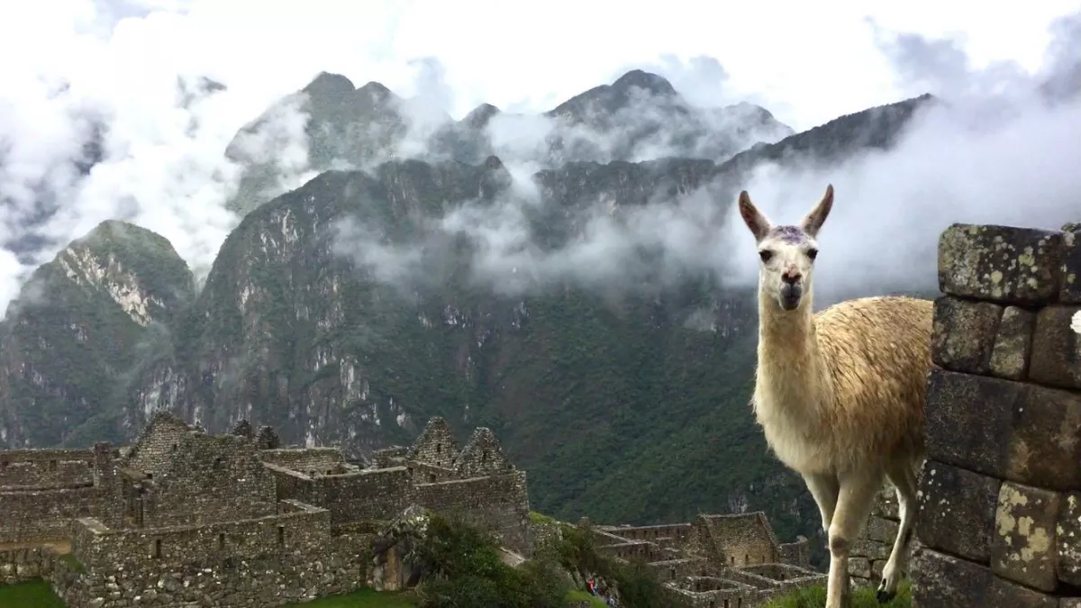 incas machu picchu