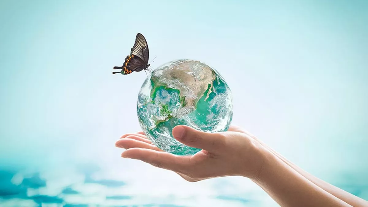 Chinnapong/ iStock ETE 2020
