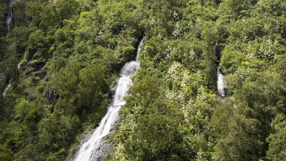 ILLUSTRATION - Réunion