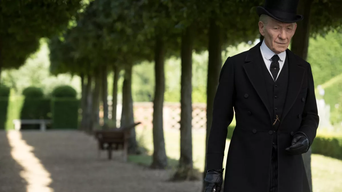 ©ARP selection MR HOLMES