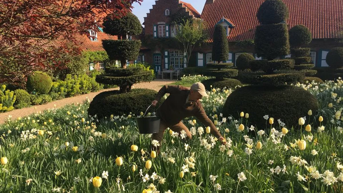 LE BEL ESPRIT JARDINIER LE BEL ESPRIT JARDINIER