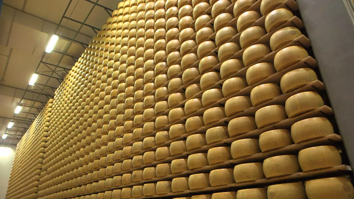 © Galaxie Presse PARMESAN, râpe-moi si tu peux