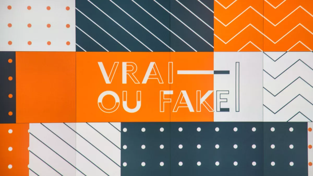 GHOSAROSSIAN Delphine VRAI OU FAKE