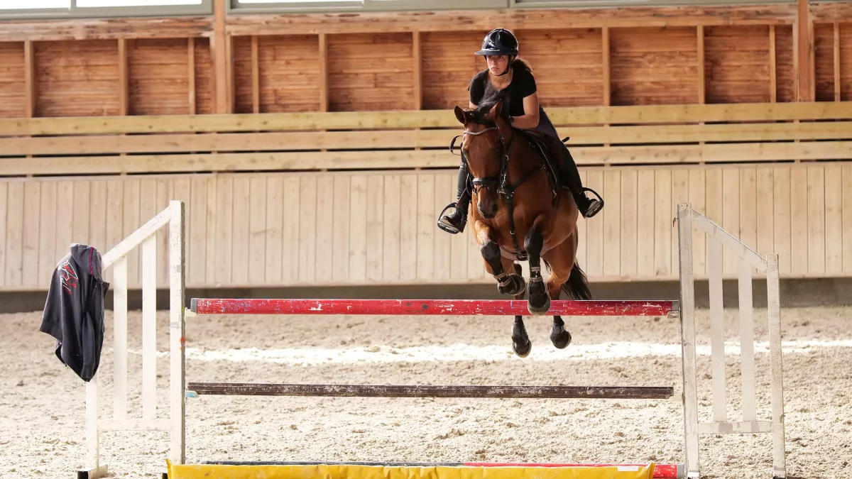 Gilles Gustine/ France 4 AU GALOP !