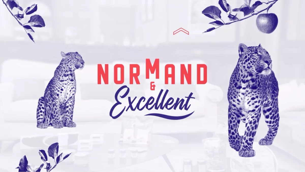 Normand et Excellent Normand et Excellent