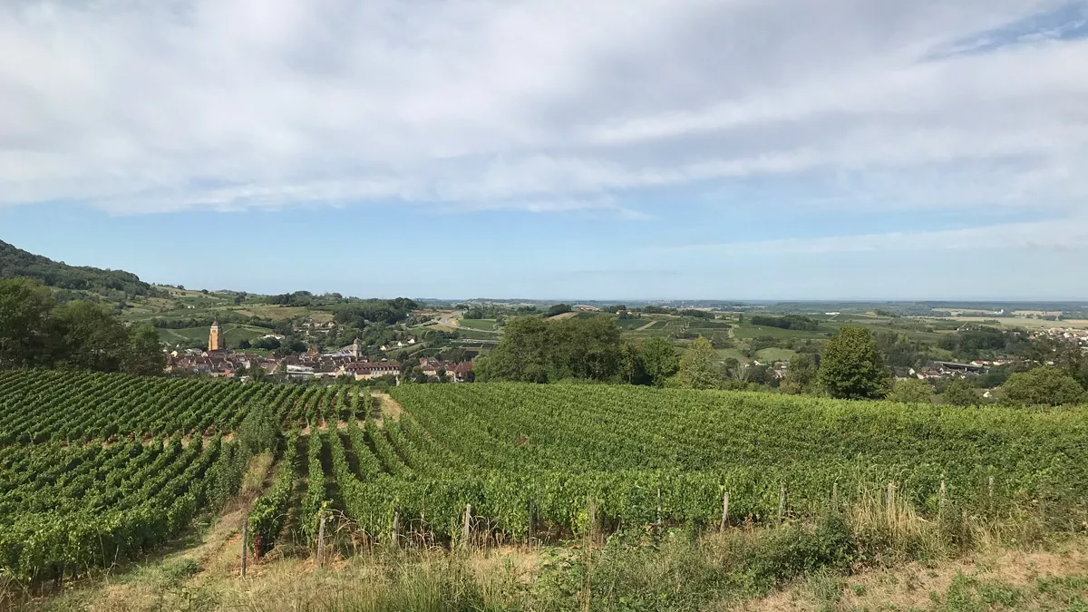 TALE Arbois vue