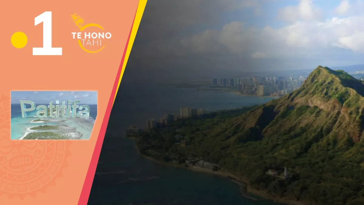 AUX RACINES D'HAWAII AUX RACINES D'HAWAII