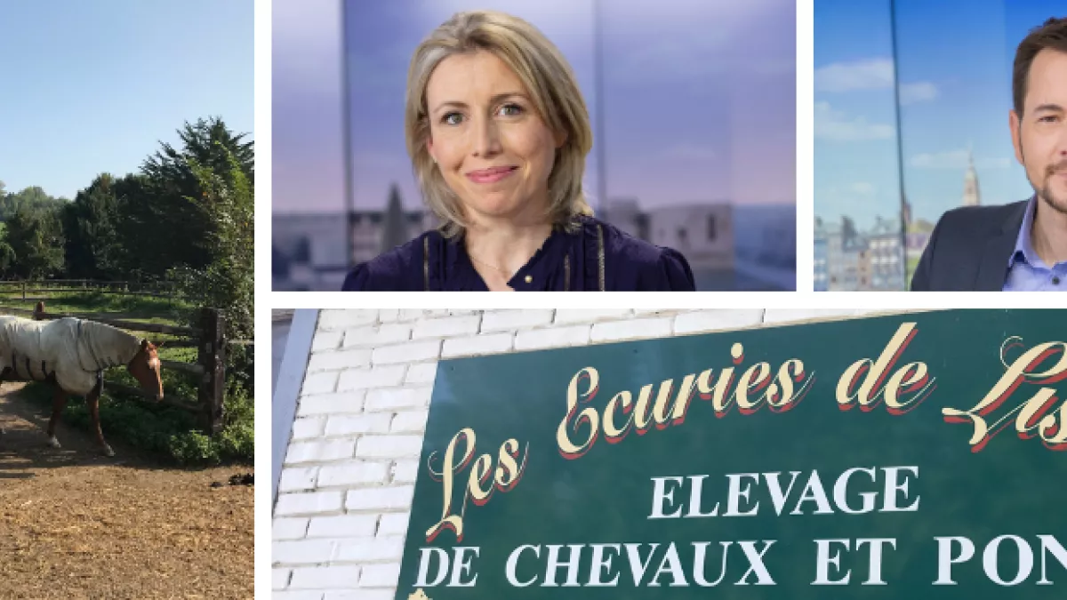 Editions spéciales aux écuries de Lisors Editions spéciales aux écuries de Lisors
