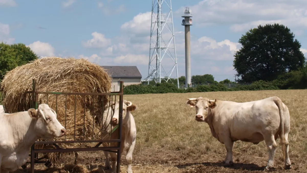 © Avenir Agricole.jpeg © Avenir Agricole.jpeg