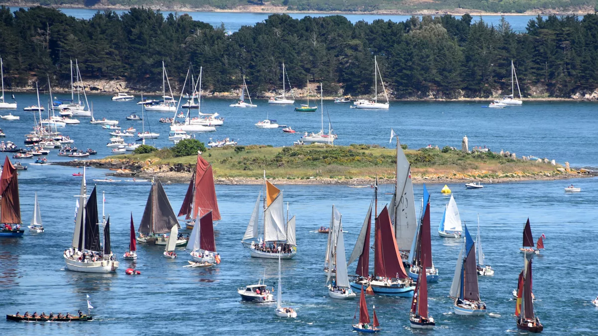 Semaine du Golfe