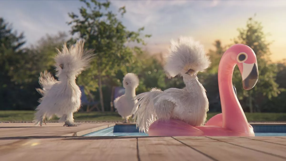 poules