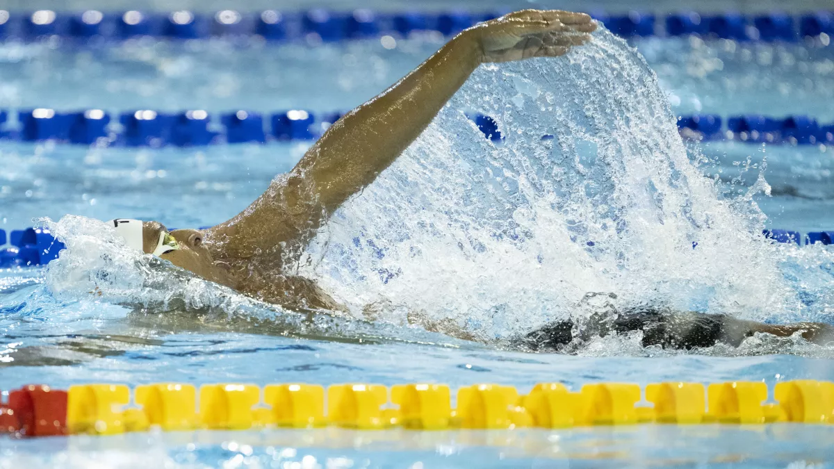 natation
