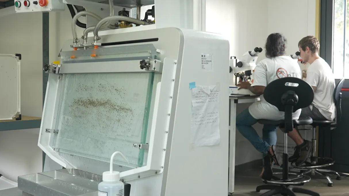 Innover, produire localement et préserver notre île : quels sont les nouveaux visages de l’économie réunionnaise ? 🚀🇷🇪 Ce jeudi à 19h45 sur Réunion la 1ère, Les Nouveaux Défis vous plongent au cœur des initiatives qui transforment notre territoire 💡. De l’industrie ménagère locale aux technologies anti-moustiques 🦟, découvrez celles et ceux qui façonnent La Réunion de demain ! 🌿💪