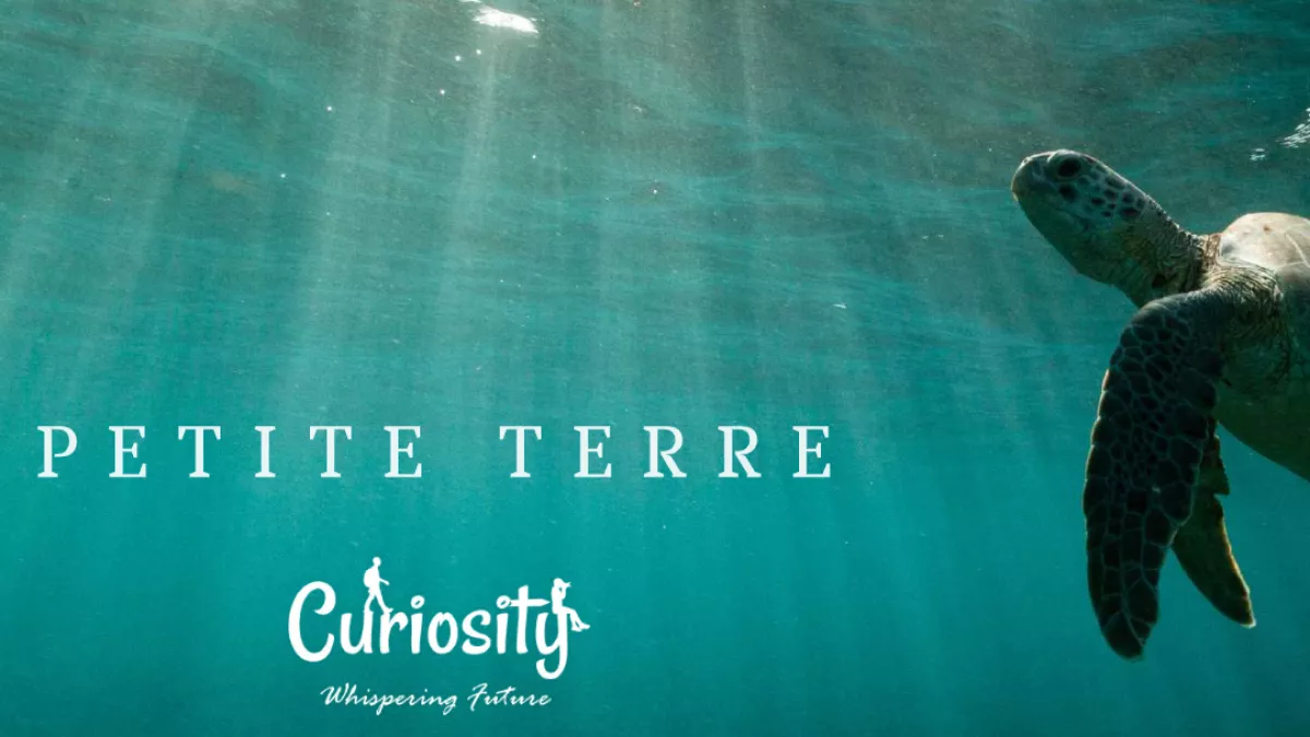 petite terre