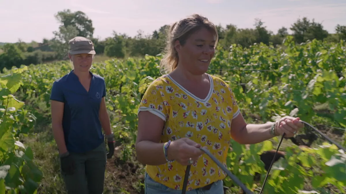 Envie dehors - ils font pétiller le vignoble nantais