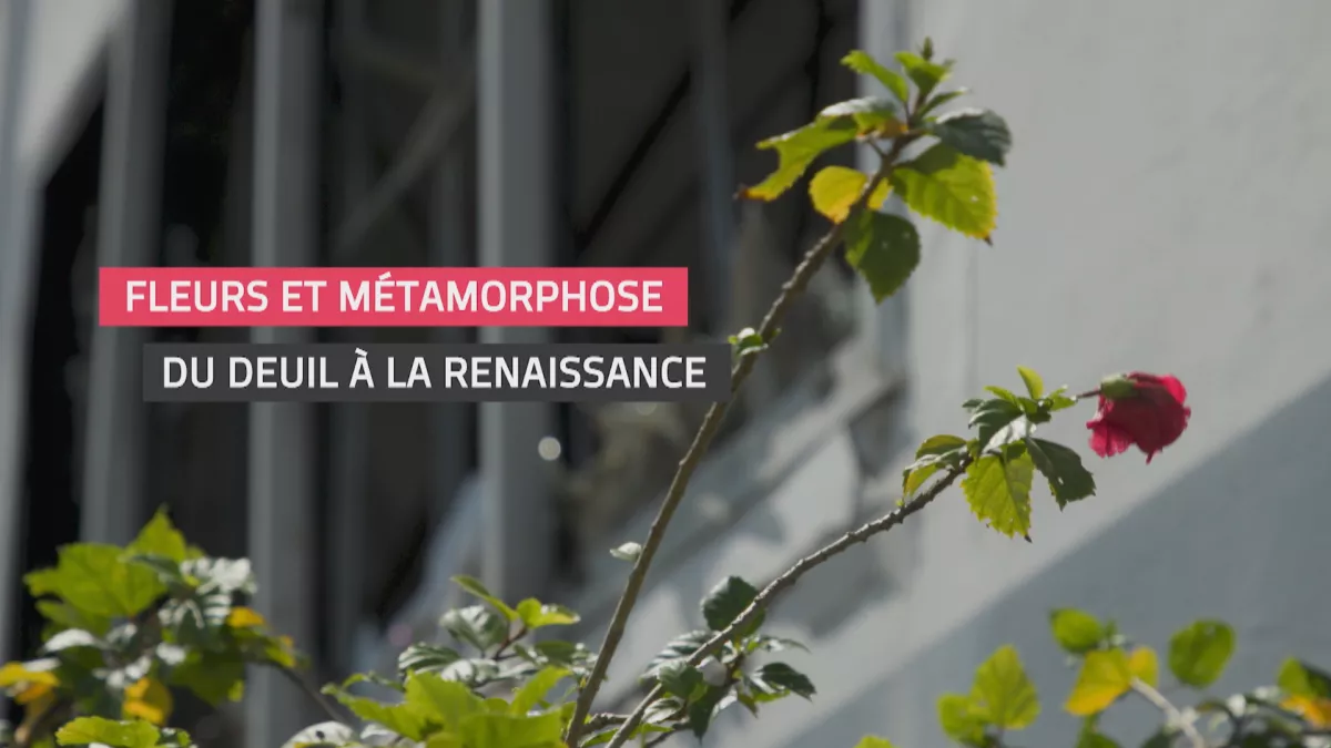 Reconstruire - Fleurs et métamorphose