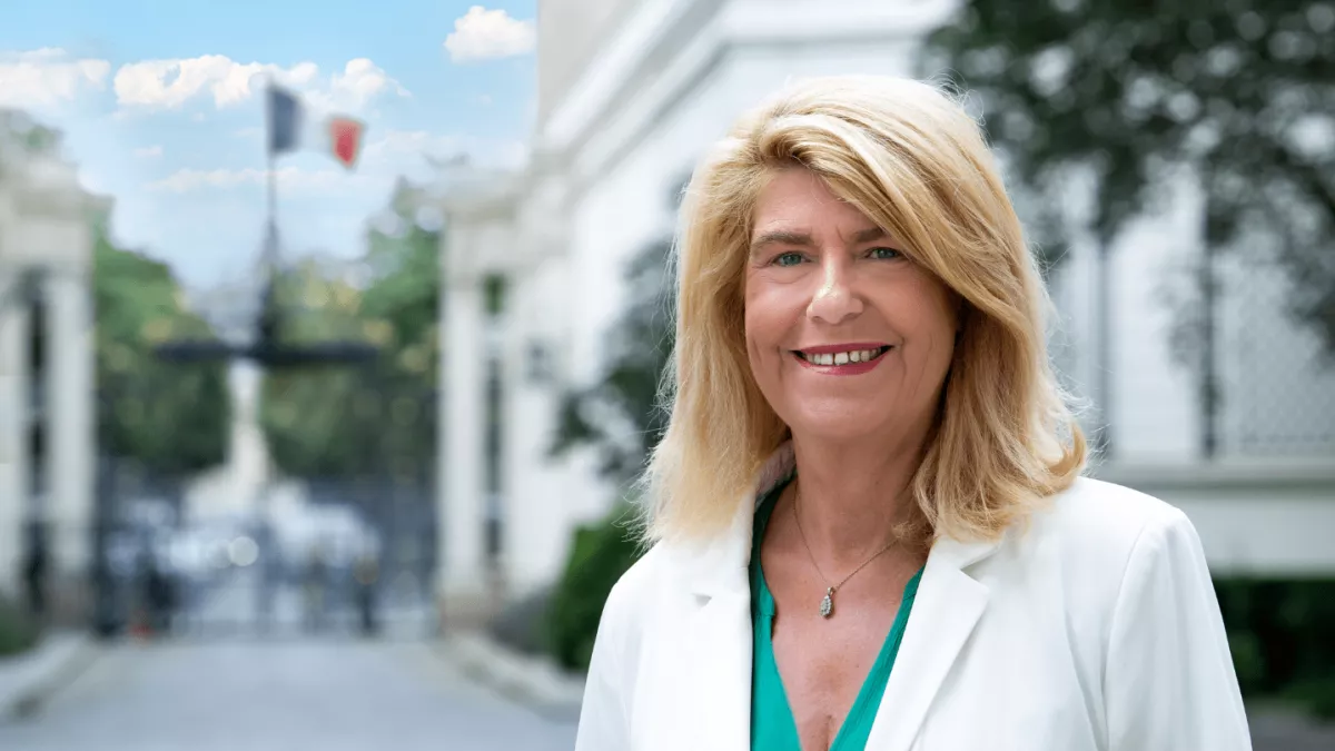 dominique faure