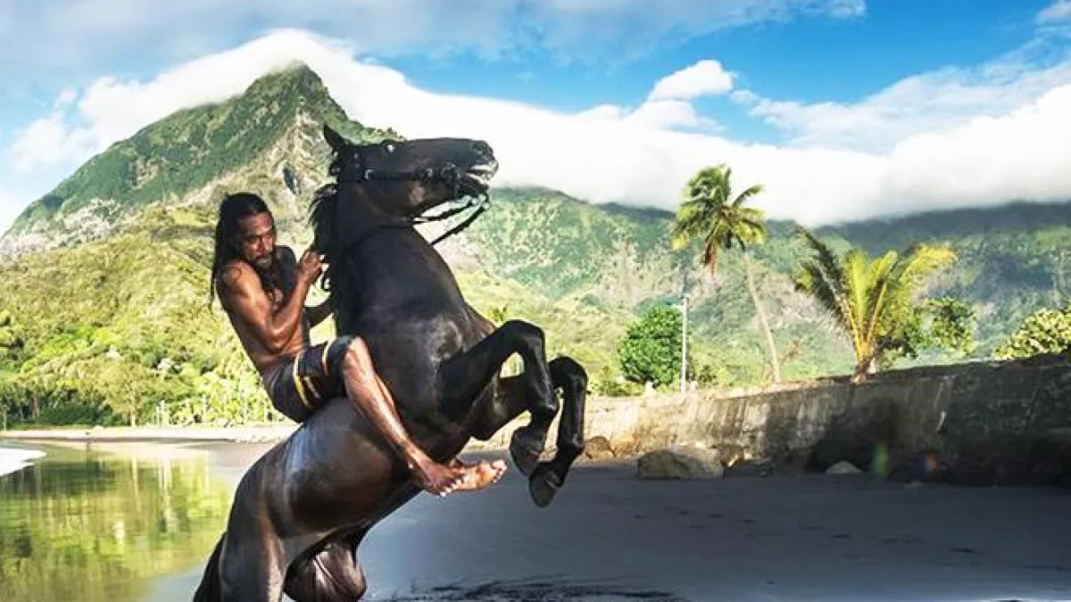 UA HUKA : L'ÎLE AUX CHEVAUX 52' UA HUKA : L'ÎLE AUX CHEVAUX 52'