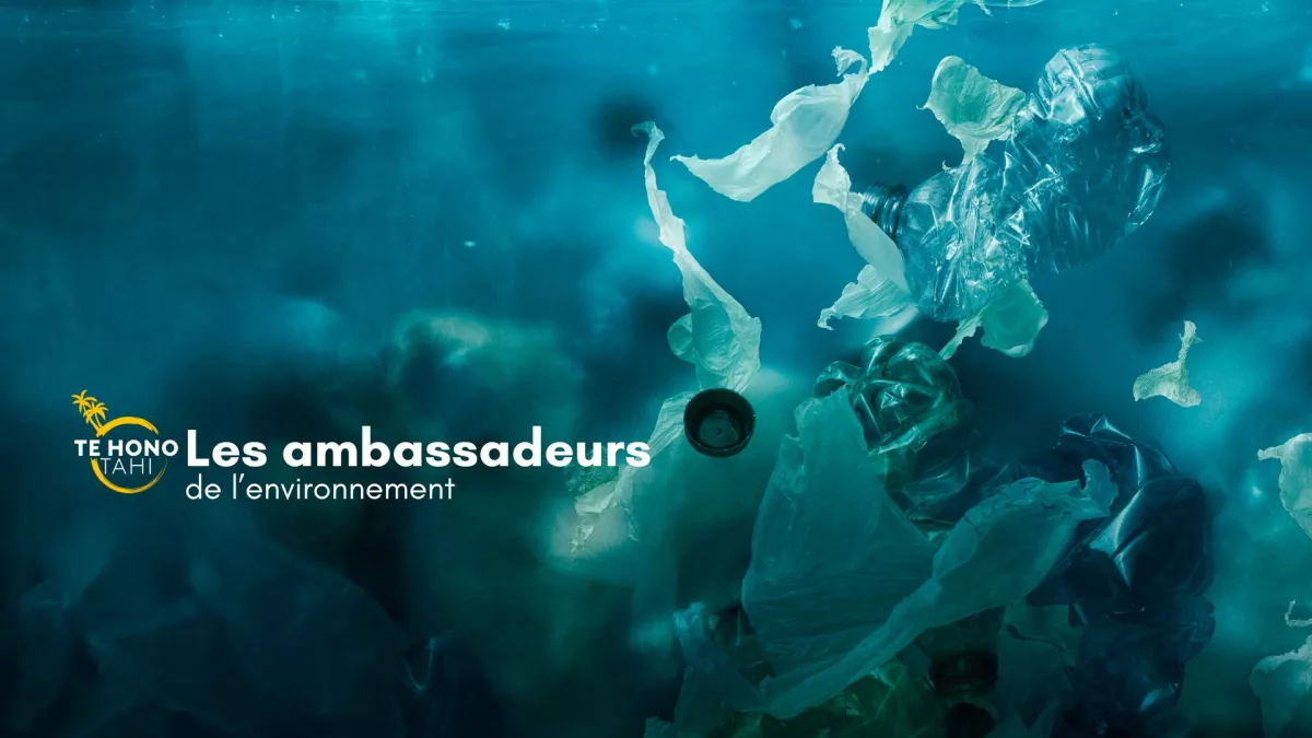 ambassadeurs de l'environnement saison 2