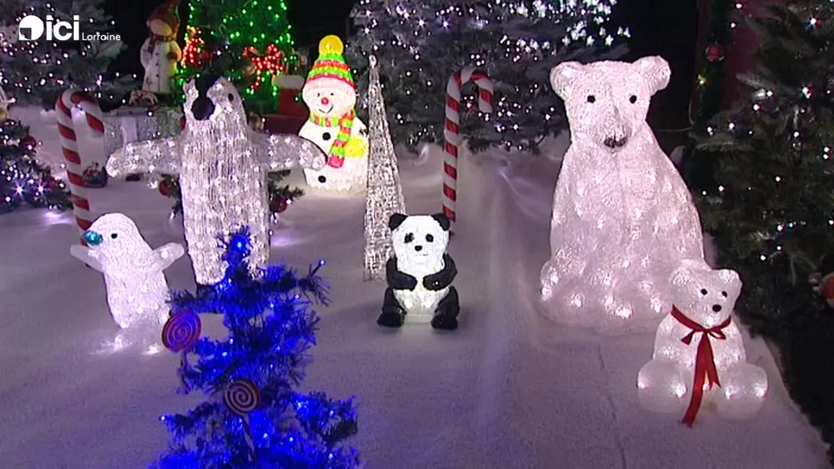 Jardin de Noël avec des animaux illuminés Visuel d'un jardin de Noël avec des animaux illuminés