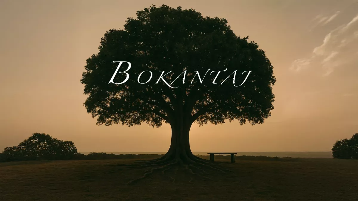 GPE - Bannière Bokantaj