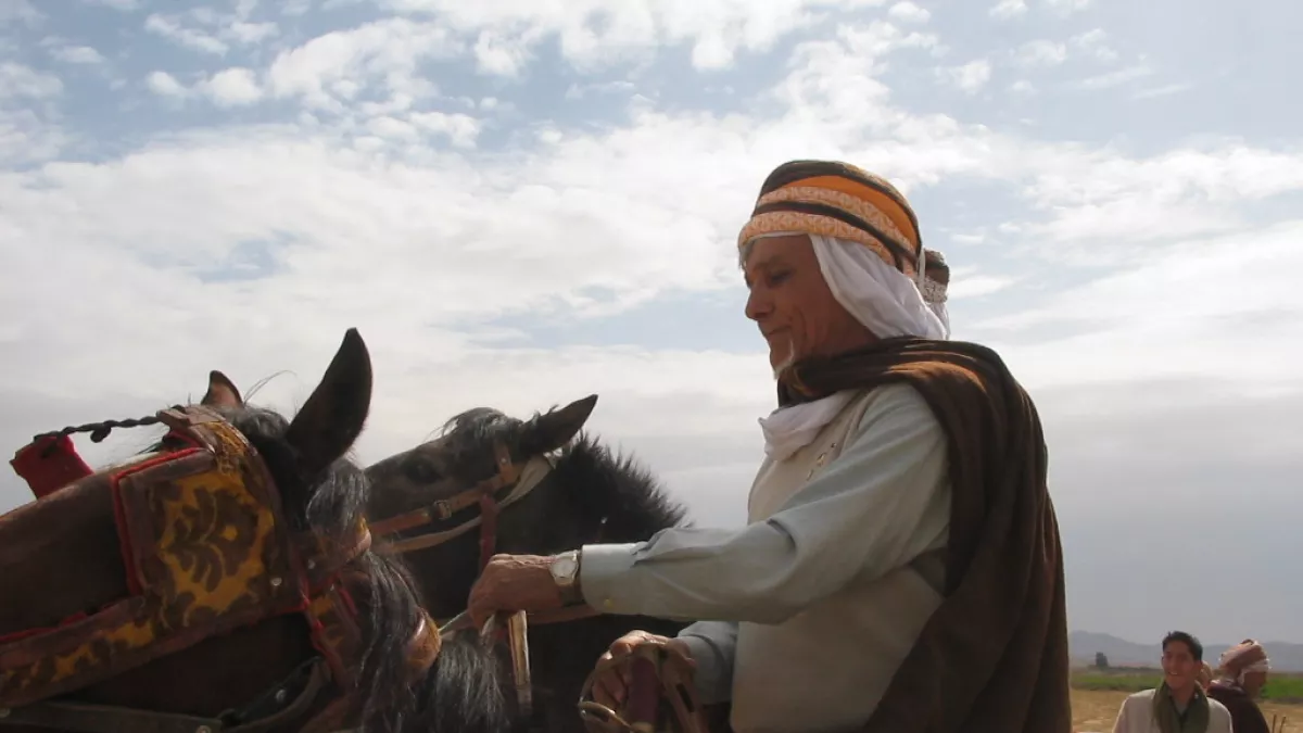 Aïfa de A à Zèbre