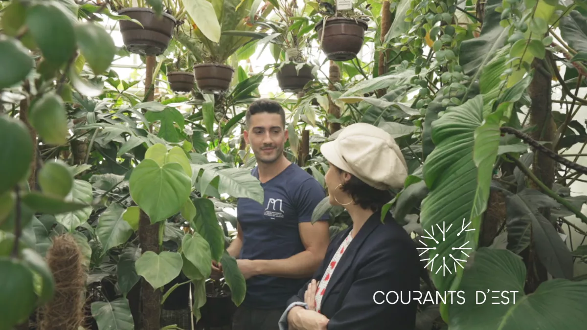 Courants d'Est - Le jardin botanique de Jean-Marie Pelt - crédit FTV